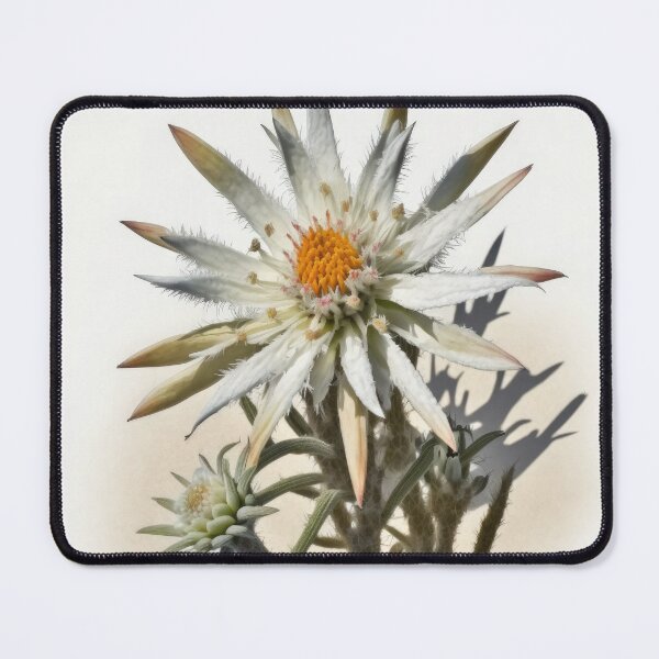 Item preview, Edelweiss  designed and sold by Vanover Designs.
