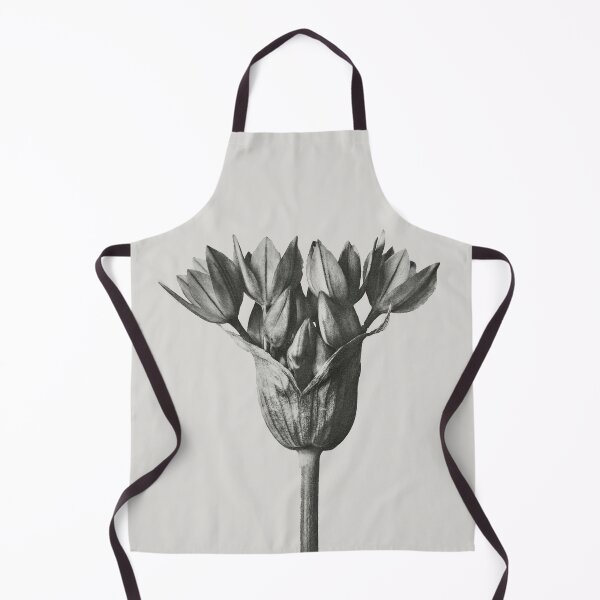 Item preview, Cebolla ornamental (Allium) Impresión botánica vintage de Karl Blossfeldt designed and sold by Pretty  Pixel.