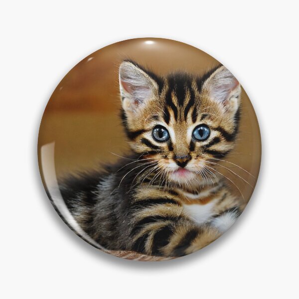 Item preview, Kitten looks designed and sold by CrystalWoodZ.