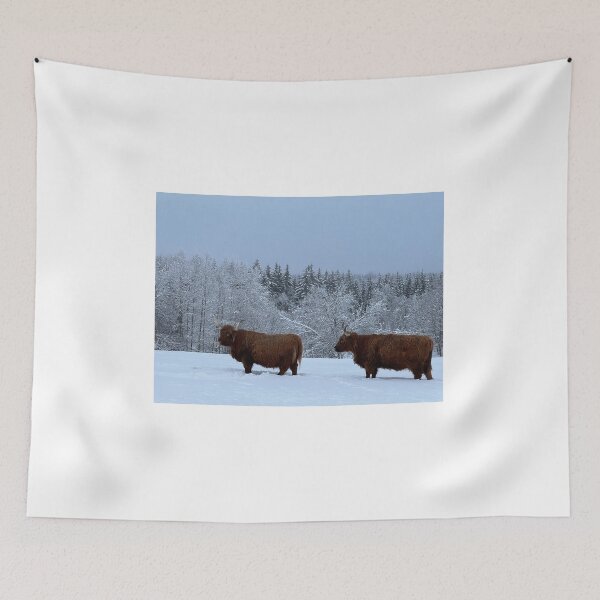 Item preview, Scottish Highland Cattle Cows 4271 designed and sold by SaarelaHighland.