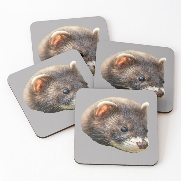 Item preview, Mischievous Polecat designed and sold by Dalyndigital Photography.