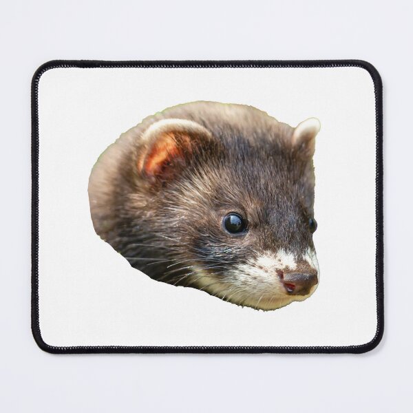 Item preview, Mischievous Polecat designed and sold by Dalyndigital Photography.
