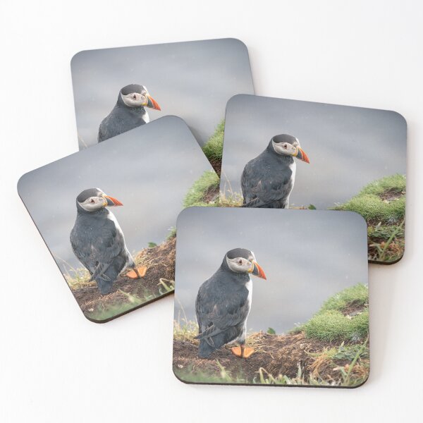 Item preview, Cute puffin in the rain on the lunga Islands designed and sold by Koolmees.
