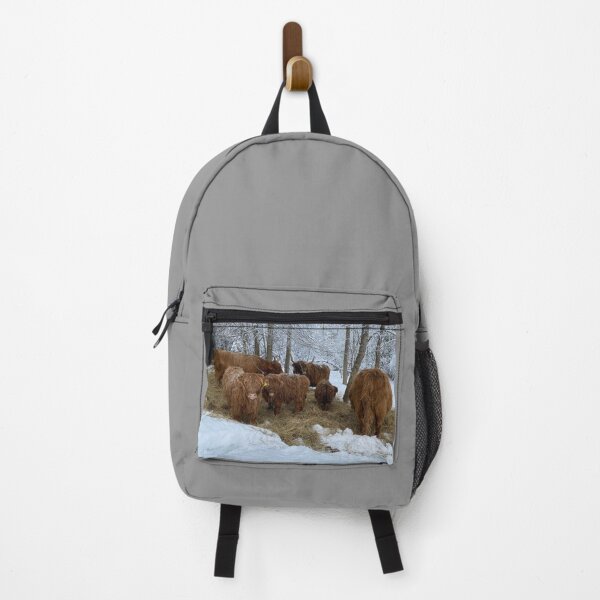 Item preview, Scottish Highland Cattle Cows 4275 designed and sold by SaarelaHighland.