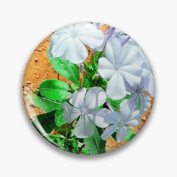 Item preview, White leadworts in my garden designed and sold by my-tree.