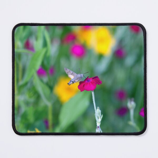 Item preview, Violet flowers in summer garden designed and sold by olena2552.