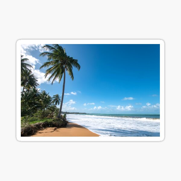 Beach Paradise - Piñones, Puerto Rico Sticker