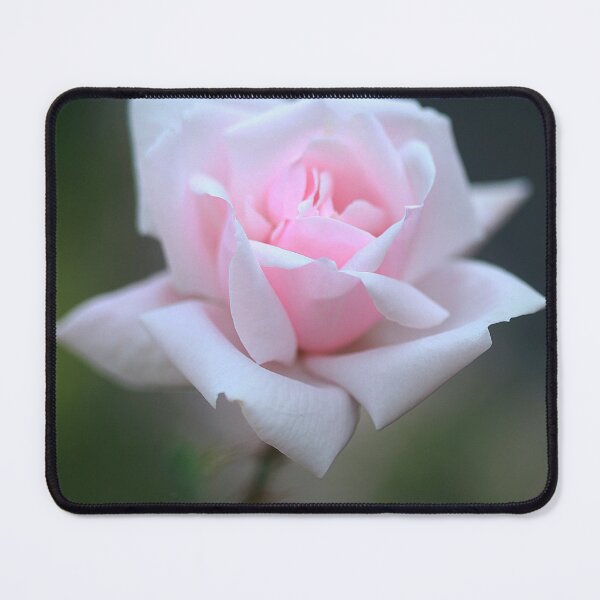 Item preview, PInk rose on nature background designed and sold by olena2552.