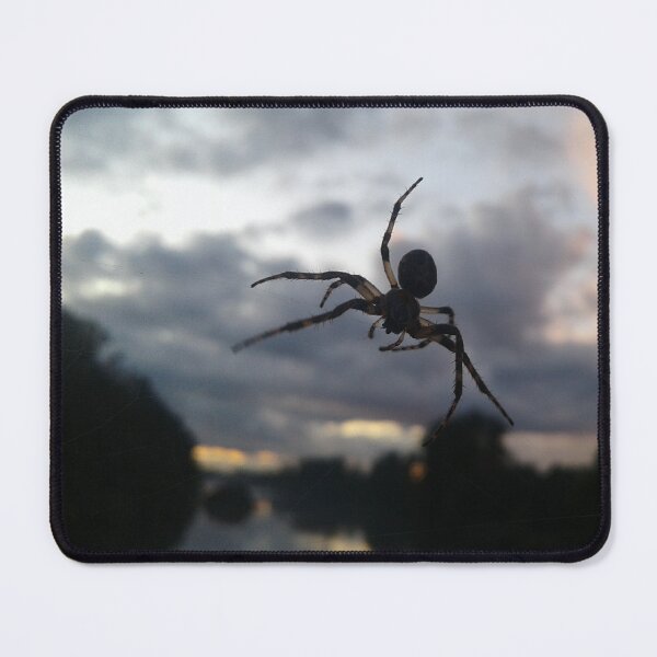 Item preview, Spider Over Willamette River Bug Paparazzi designed and sold by PPPimp.
