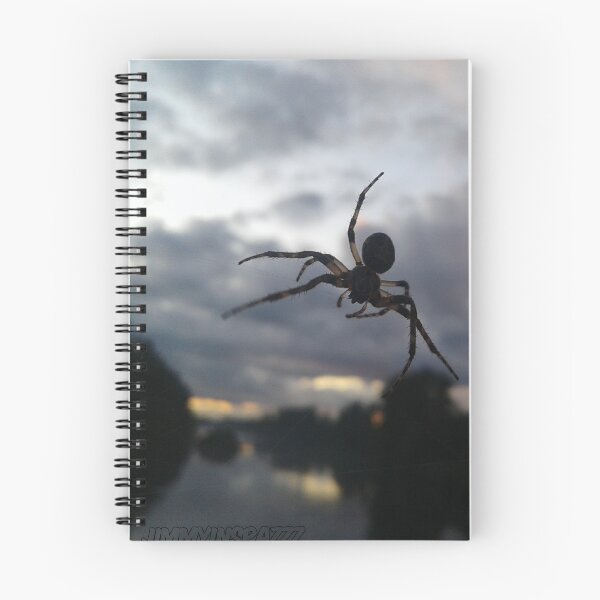 Item preview, Spider Over Willamette River Bug Paparazzi designed and sold by PPPimp.