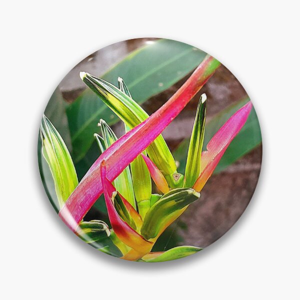 Item preview, Pink heliconia flower in my garden designed and sold by my-tree.