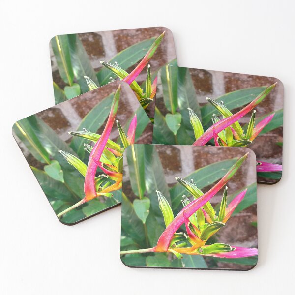 Item preview, Pink heliconia flower in my garden designed and sold by my-tree.