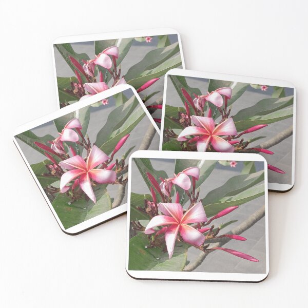 Item preview, Pink Plumeria flowers in my office designed and sold by my-tree.
