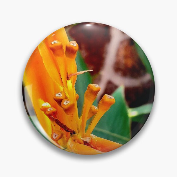 Artikelvorschau, Gelbe Heliconia in meinem Garten entworfen und verkauft von my-tree.
