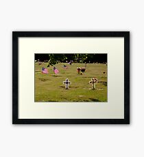 Memorial Flags 2 Framed Print