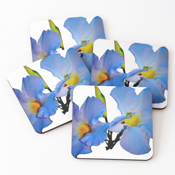 Item preview, Blue Thunbergia..white background designed and sold by AH Fotography.