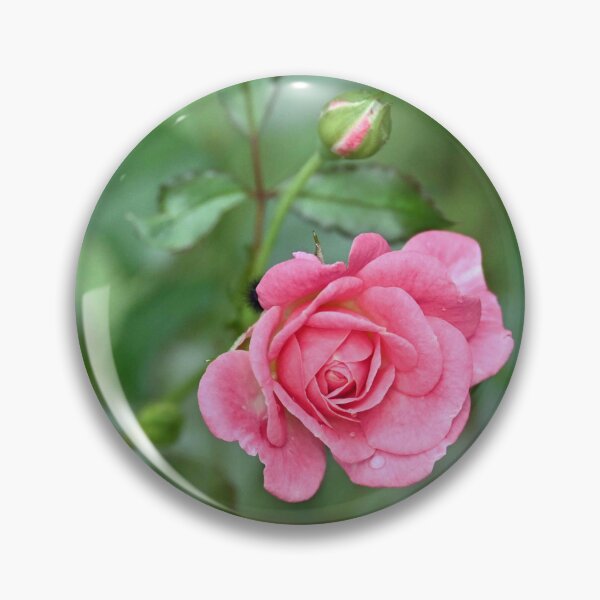 Item preview, Pink Rose designed and sold by princesslaina.