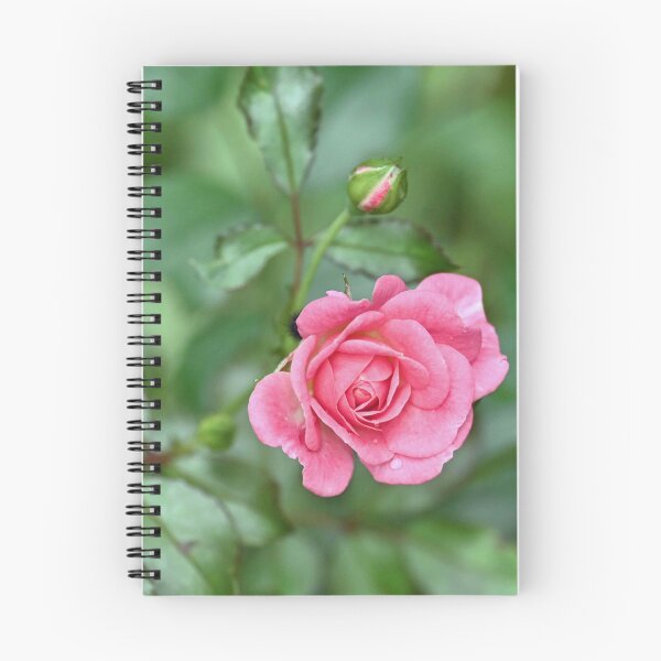 Item preview, Rosa rosada designed and sold by princesslaina.