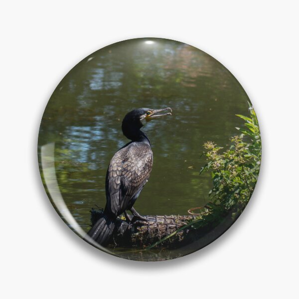 Item preview, Cormorant in the Sunshine. designed and sold by GingerMan2550.