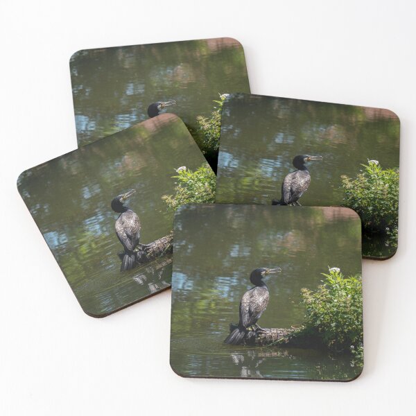 Item preview, Cormorant in the Sunshine. designed and sold by GingerMan2550.