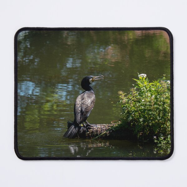 Item preview, Cormorant in the Sunshine. designed and sold by GingerMan2550.