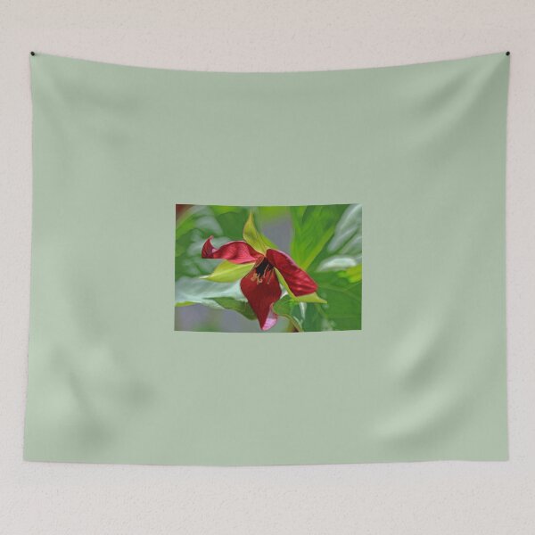 Item preview, Wake-Robin Trillium designed and sold by T.J. Martin.