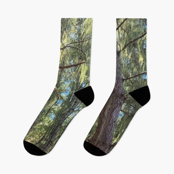 Item preview, lichen tree trunks designed and sold by Bethan Rose Studio.