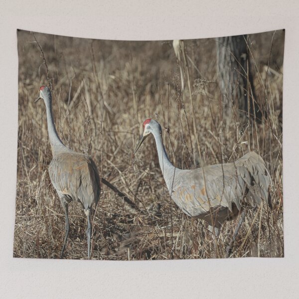 Item preview, Michigan Sandhill Cranes designed and sold by OneCreativePup.