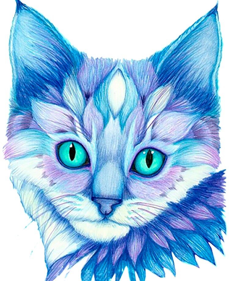 Cat Color Pencil Drawing 19