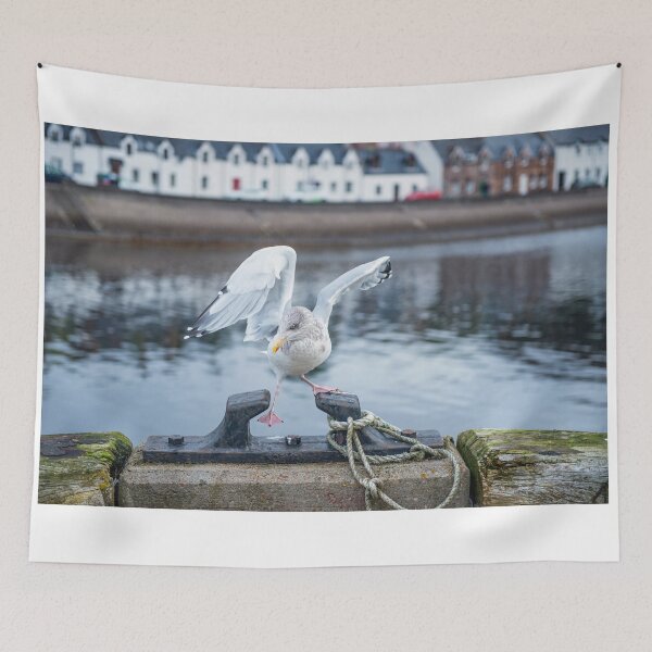 Item preview, Young Herring Gull Missing its Footing in Ullapool Harbour, North West Scotland designed and sold by Cameranick.
