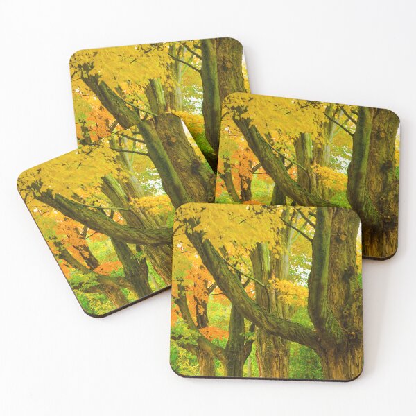 Item preview, Pioneer Park Trees, Bayfield designed and sold by Brian Shaw.