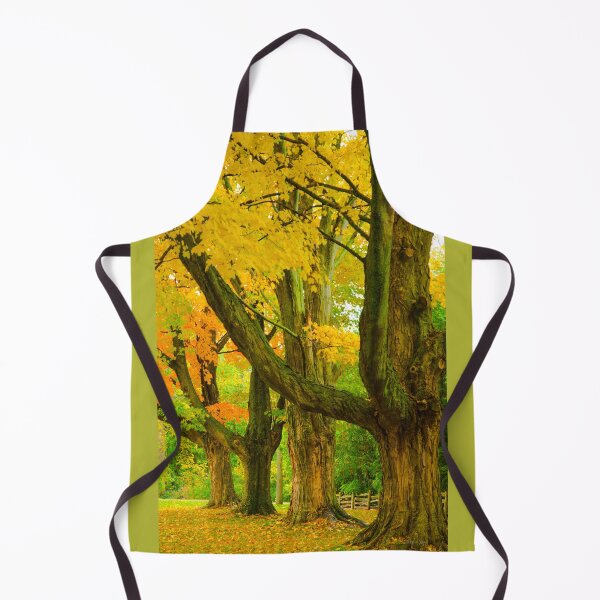 Item preview, Pioneer Park Trees, Bayfield designed and sold by Brian Shaw.