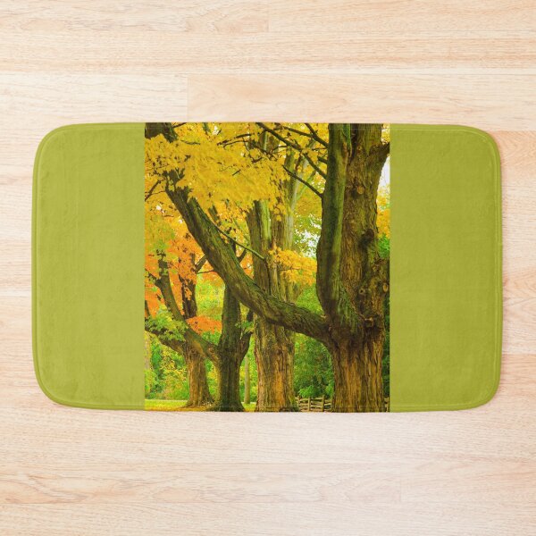 Item preview, Pioneer Park Trees, Bayfield designed and sold by Brian Shaw.