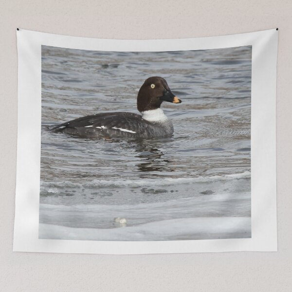 Item preview, Female Golden-eye Duck On The River designed and sold by FreelanceJim.