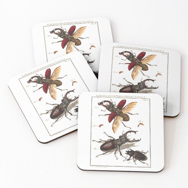 Item preview, Stag beetle, male and female, vintage scientific illustration. designed and sold by Luggnagg.