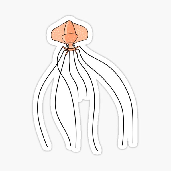 Bigfin Squid Sticker