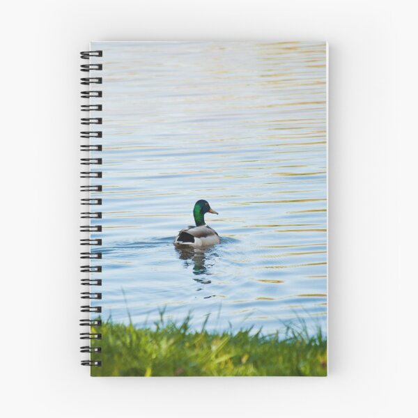 Item preview, Duck on an Adventure designed and sold by EarthUnlocked.