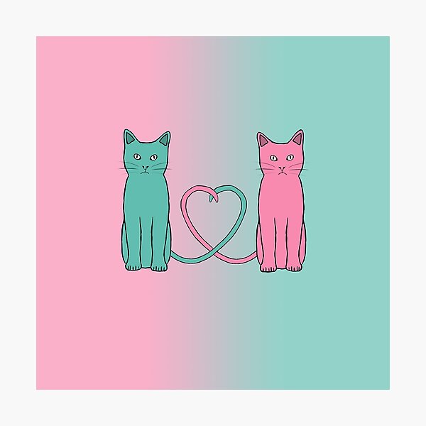 Cat Love Photographic Print