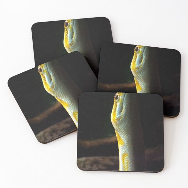 Item preview, Python Snake Stare designed and sold by EarthUnlocked.