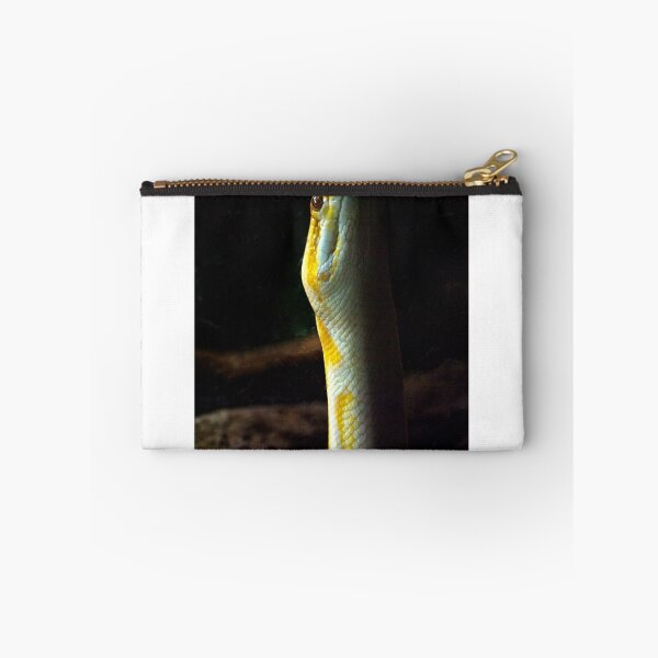 Item preview, Python Snake Stare designed and sold by EarthUnlocked.
