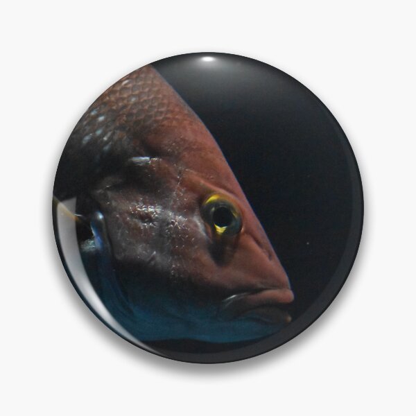 Item preview, Fisk  designed and sold by Kian  Burch.
