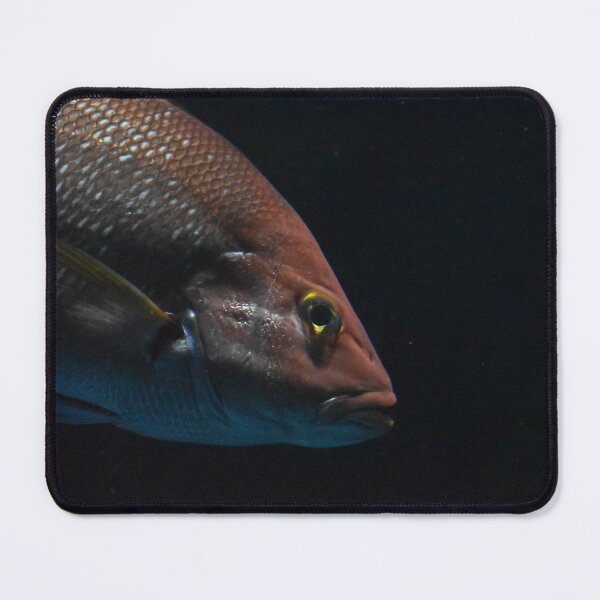 Item preview, Fisk  designed and sold by Kian  Burch.