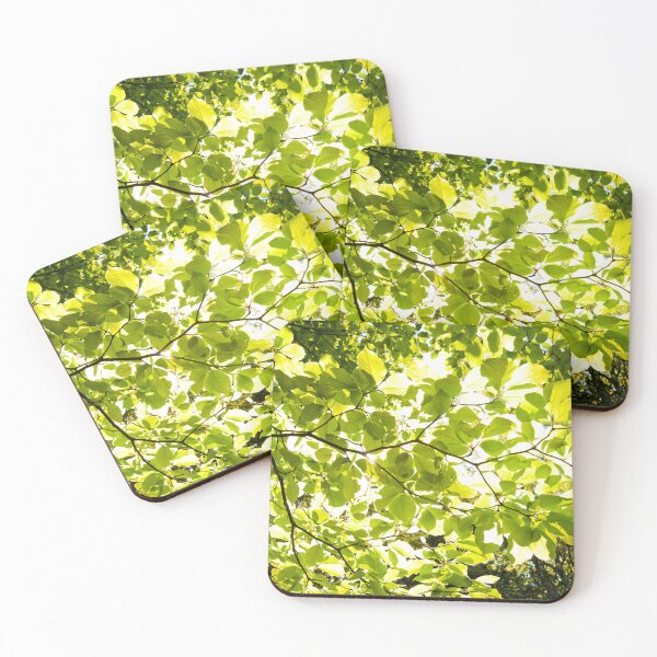 Item preview, Sunlight Through the Trees designed and sold by EarthUnlocked.