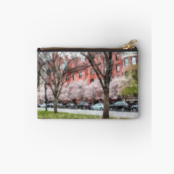 Item preview, Watercolor Backbay Boston designed and sold by peanutroaster.