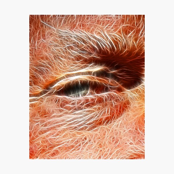Artikelvorschau, Fathers Eye entworfen und verkauft von ARTISTOFLIGHT.