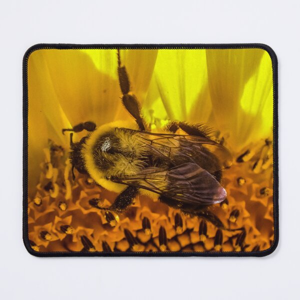 Item preview, Honey bee 2 designed and sold by Kian  Burch.