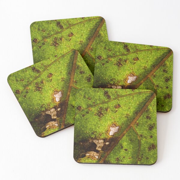 Item preview, macro leaf designed and sold by Kian  Burch.