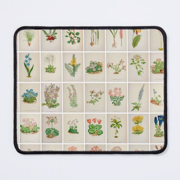 Item preview, Vintage Alpine Flower Drawings and illustrations, Landscape, poster  designed and sold by Michael Dietrich.