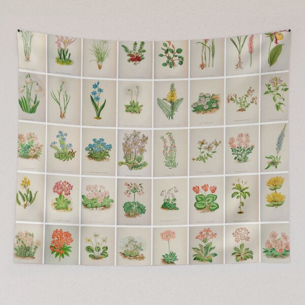 Item preview, Vintage Alpine Flower Drawings and illustrations, Landscape, poster  designed and sold by Michael Dietrich.