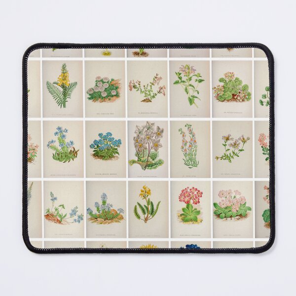 Item preview, Vintage Alpine Flower Drawings and illustrations, Portrait, poster designed and sold by Michael Dietrich.
